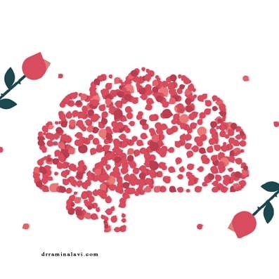 رابطه عشق با مغز